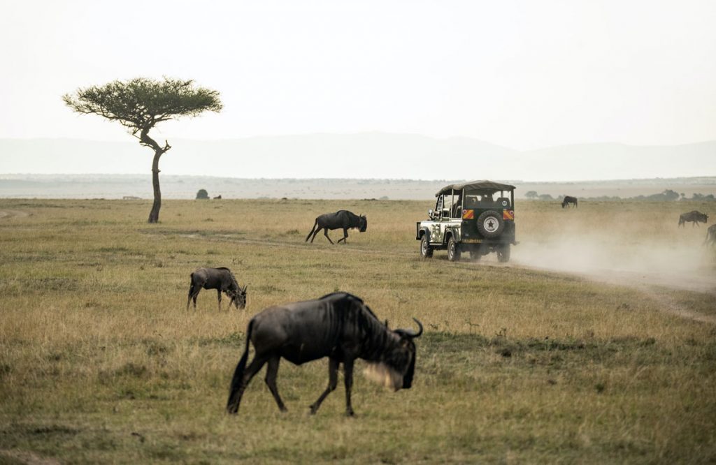 africa safari jeep